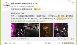 胡桃爆料事件视频全集,揭秘背后真相与争议